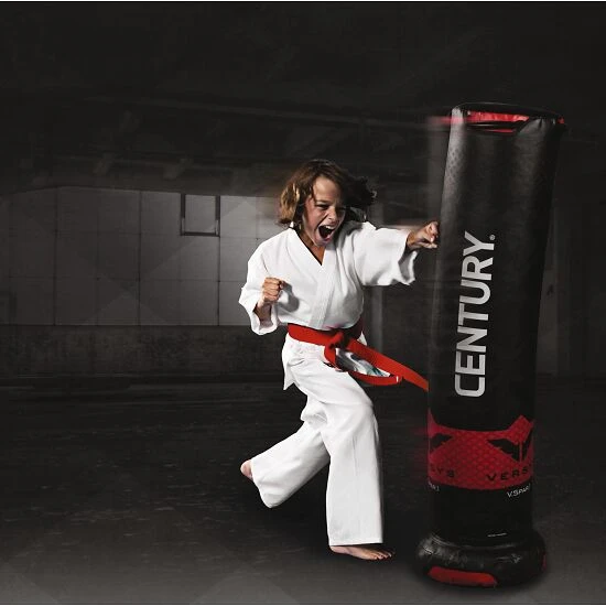 Century Boxdummy Versys™ "V Spar 1" 2 Century Boxdummy Versys™ "V Spar 1" – Bild 2