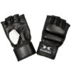 Hammer Boxhandschuhe "Premium" 2 Hammer Boxhandschuhe "Premium" -Sport Thieme Verkäufe 149 9979